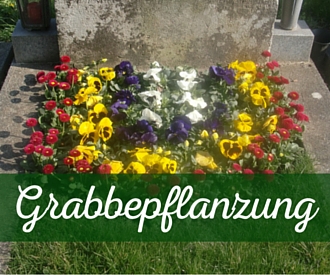 Grabbepflanzung