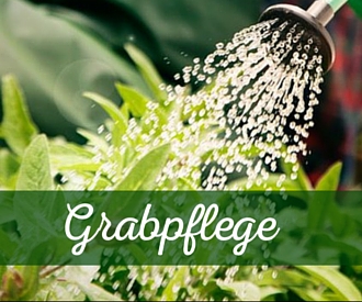 Grabpflege